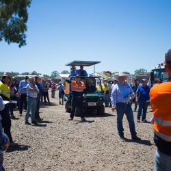 HASSALLS TO HOST FINAL UNRESERVED CURTIS ISLAND AUCTION