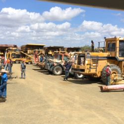Hassalls Curtis Island mega auctions roll on in Gracemere