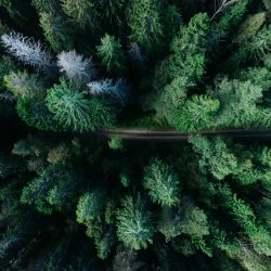 The benefits of Evergreen Content