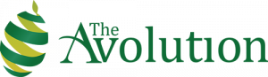 The Avolution