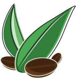 The Bean and Leaf Cafe