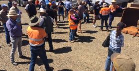 CENTRAL QUEENSLAND TO HOST MAJOR ONSITE AUCTION
